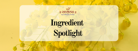 Ingredient Spotlight: Unveiling the Power of Nature in Satatya’s Ayurvedic Formulations