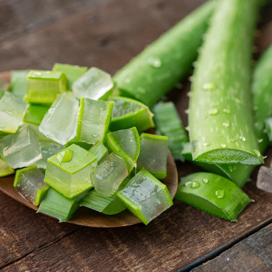 7 benefits of Aloe Vera Gel 