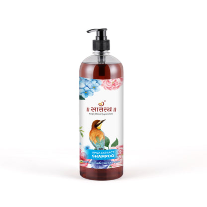 Amla Extract Shampoo | Ayurvedic Anti-Dandruff Shampoo for Healthy Scalp & Strong Hair