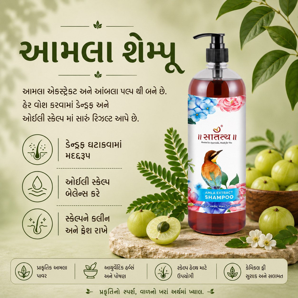 Gujarati information graphic for Satatya Amla Shampoo explaining dandruff reduction, scalp balance, and Ayurvedic hair care benefits.