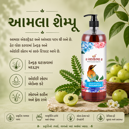Gujarati information graphic for Satatya Amla Shampoo explaining dandruff reduction, scalp balance, and Ayurvedic hair care benefits.