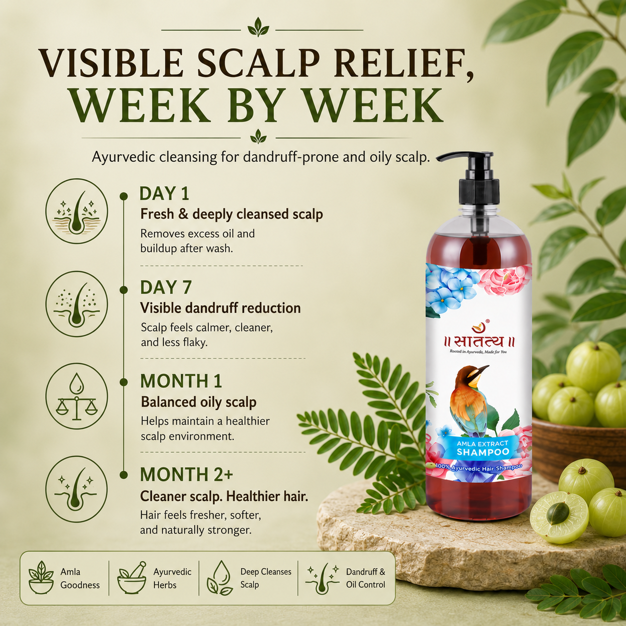Satatya Amla Extract Shampoo results timeline showing cleaner scalp, dandruff reduction, balanced oil control, and healthier hair over time.